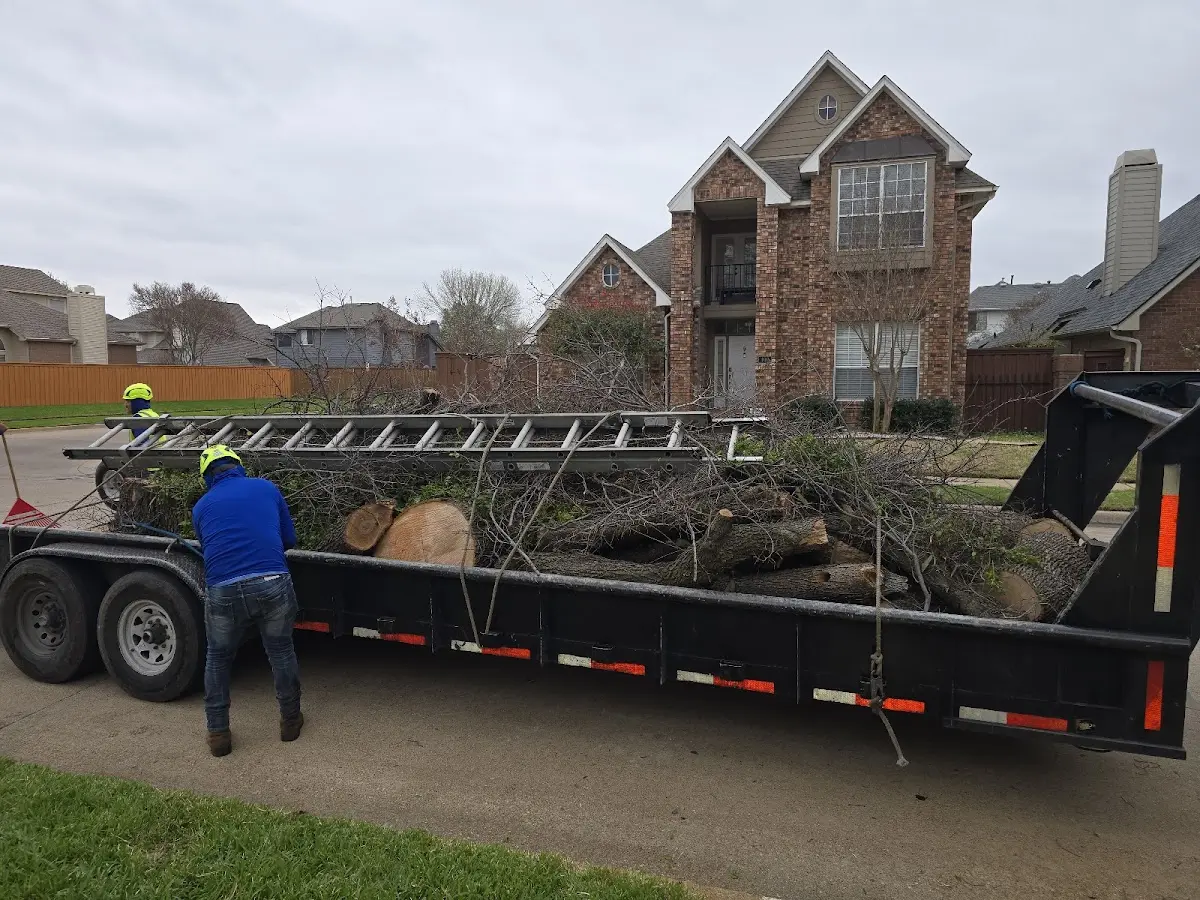 Expert Lot Clearing with proper safety equipment in Hackensack